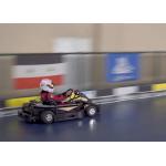 65km/H 48 Volt Electric Go Kart 2 Seater APP Adjustment Control