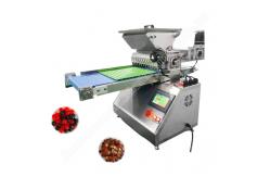 China Automatic Bear Gummy Depositor Gummy Making Machine Small Chocolate Candy Making Machine supplier