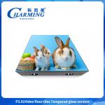 2025 Wholesale P3.91 Led 3d Dance Floor Transparent Glass Floor Dance Led Display for sale