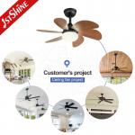 30 Mini Ceiling Fan With Light Wood Blade 6 Speed Choice Hi Speed