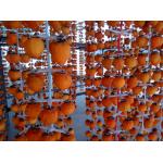 Dried Persimmon