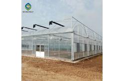 China 33ft Multi Span PE Plastic Shed Film Greenhouses supplier