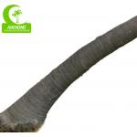 All season 400cm Height Artificial Tropical Tree , Large Artificial Outdoor Trees Durable