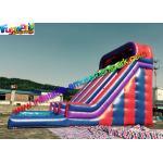 Giant Outdoor Inflatable Water Slides Large With Splash Pool 10LX5.5Wx7H for sale
