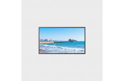 China 49 inch LCD screen 1920*1080 LVDS 2500nits  LCMA-RX0490GL04-Z250 supplier