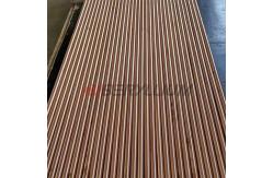 China Resistance Welding Tips Copper Chromium Nickel Silicon Alloys RWMA Class 3 supplier
