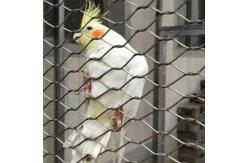 China Flexible Wire Rope Mesh Netting For Aviary Animal Enclosures Zoo Mesh supplier