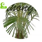 Fiberglass Trunk H150cm Large Artificial Palm Trees For Outside