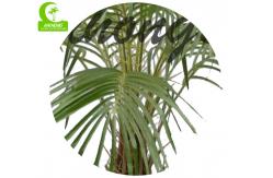 China HAIHONG Height 150cm Artificial Phoenix Palm , Artificial Palm Plant Indoor Customizable supplier