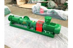 China ExdIIBt4 Screw Pump For Mud Transfer & Centrifuge Feeding Low Shear supplier