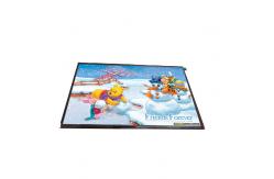China 10.1 Inch 1280*800 149PPI RGB LCD Display Panel FOR AUO supplier
