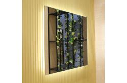 China Touch Control Custom Bathroom Mirrors Salons Custom Makeup Mirror With Lights supplier