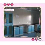 Multi Functional Chemistry Lab Bench Modular Lab Furnitures  With Safeguard Cover for sale