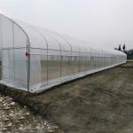 Wind Resistant UV Net House Greenhouse Environmental Controller Multi-span Greenhouses