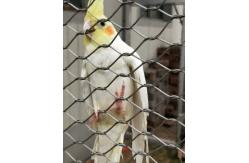 China Flexible 316 Stainless Steel Rope Mesh High Strength Antirust For Bird Aviary supplier