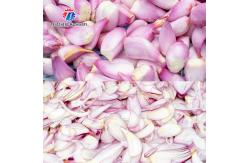 China Industrial Garlic Vegetable Processing Machine 0.375KW Automatic Cutting Machine supplier