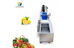 China Customized Driven Pesticide Exclude Vegetable Processing Line , Centrifuging Tomato Processing Line supplier