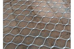 China Commercial Bird Cages 30m Aviary Wire Netting No Elongation supplier