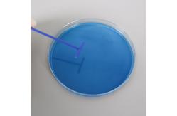 China Medical Lab Inoculation Loop T Shaped Bacterial Cell Spreader With Smooth Rounded Surfaces supplier