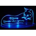 12cm Kitten Led Edge Lit Sign Custom Acrylic Edge Lit Signs Purple for sale