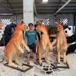 1.8m Realistic Animatronic Animals Kangaroo For Theme Park