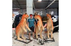 China 1.8m Realistic Animatronic Animals Kangaroo For Theme Park supplier