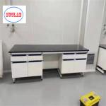 Steel Wood PP Stainless Steel Chemistry Lab Workbench Hong Kong With Safety Cabinet Storage for sale