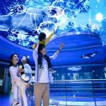Customizable Magic Sky Screen Hologram Canopy Projection Interactive Projector for sale