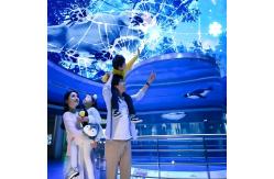 China Customizable Magic Sky Screen Hologram Canopy Projection Interactive Projector supplier