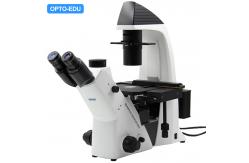 China Opto-Edu A14.2603 Inverted Optical Microscope Trinocular Phase Contrast supplier