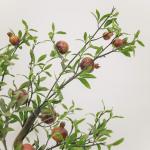 Airport PE 120cm Artificial Pomegranate Tree Environment Friendly