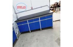 China Customizable Wood Modular Lab Furniture Solution for and Laboratories supplier