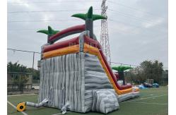 China PVC Stripes Double Lane Water Park Games Slide With Pool supplier