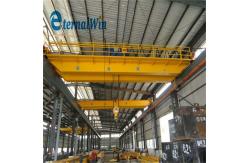 China Powerful Remote Control Monorail Crane for Quick and Safe Material Handling supplier