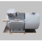 IP54 IP55 High Power Low Speed Permanent Magnet Generator for sale