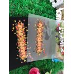Nontoxic Heat Transfer Film For Plastic Products With OEKO-Test 100 Certification for sale