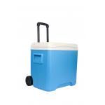 Portable Cooler Box Cold Chain Transportation Outdoor Camping Function for sale