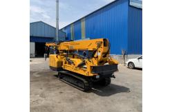 China Customized Spider Crawler Crane Diesel Engine And Electric Dual Power supplier