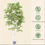 Ornamental Plant Artificial Radermachera sinica Indoor Landscape Natural Greening for sale