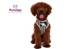 China All Seasons 104g 120cm Neoprene Dog Walking Vest supplier