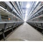 China 160 Birds / Set Full Automatic Battery Cage System Poultry Farming Equipment factory