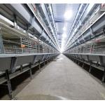 H Type Battery Broiler Chicken Cage Automatic For Poultry Farm for sale