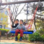 Customized Color 100 120cm Swing Nest Bird Nest Swing With Hanging Ropes for sale