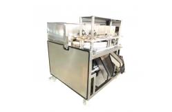 China Seed Removing 84000pcs/H Date Olive Pitting Machine supplier