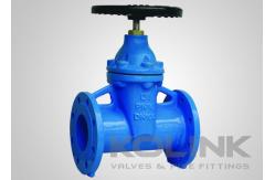 China Resilient Seated Ductile Iron Gate Valve Encapsulated Disc GGG40 GGG50 supplier