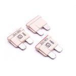 80V Standard Car Auto Fuse