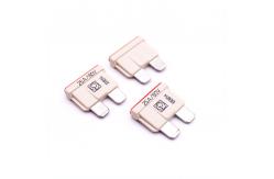 China 80V Standard Car Auto Fuse supplier