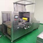 6th Conveyor Type Cherry Plum Fruit Pitting Machine for sale