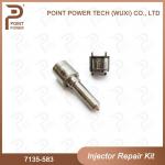 7135-583 Delphi Injector Repair Kit  For Injectors R00301D SSANGYONG D20DTF Nozzle-Valve Kit for sale