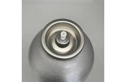 China Universal Tire Inflator Valve for RVs with Versatile Compatibility supplier